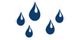 Rain-X Treatment